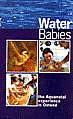 Water Babies: Aquatic Experience in Ostend