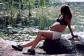 Waterside Reflections